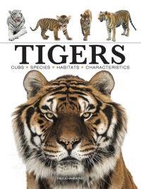 Book Cover for Tigers by Paula Hammond