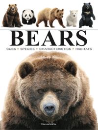 Book Cover for Bears by Tom Jackson