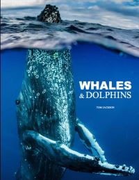 Book Cover for Whales & Dolphins by Tom Jackson