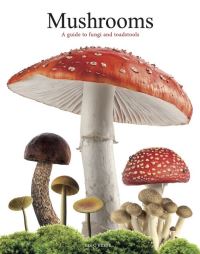Book Cover for Mushrooms by Liz OKeefe