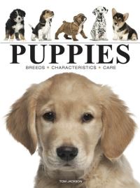 Book Cover for Puppies by Tom Jackson