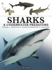 Book Cover for Sharks & Underwater Predators by Tom Jackson
