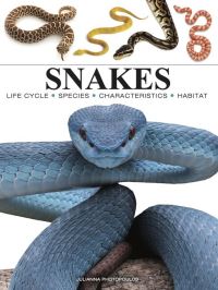 Book Cover for Snakes by Julianna Photopoulos