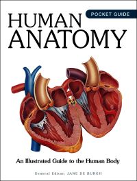 Book Cover for Human Anatomy by Jane de Burgh