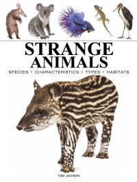 Book Cover for Strange Animals by Tom Jackson