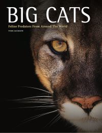 Book Cover for Big Cats by Tom Jackson