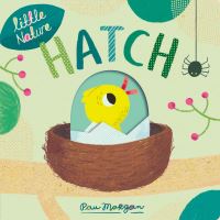Book Cover for Hatch by Isabel Otter