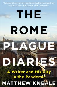 Book Cover for The Rome Plague Diaries by Matthew Kneale