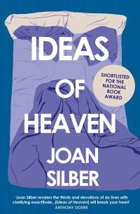 Book Cover for Ideas of Heaven by Joan Silber