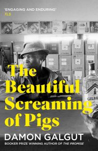Book Cover for The Beautiful Screaming of Pigs by Damon Galgut