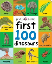 Book Cover for First 100 Dinosaurs by Andy Rowland