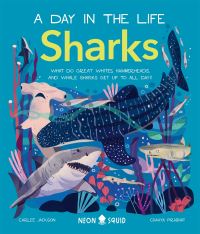 Book Cover for Sharks by Carlee Jackson