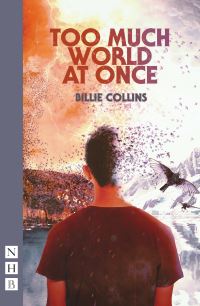 Book Cover for Too Much World at Once by Billie Collins