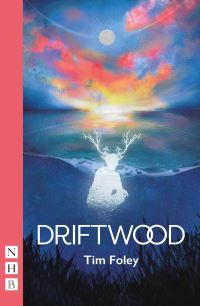 Book Cover for Driftwood by Tim Foley