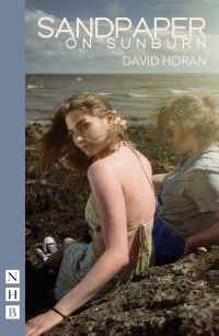 Book Cover for Sandpaper on Sunburn by David Horan