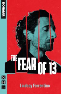 Book Cover for The Fear of 13 by Lindsey Ferrentino