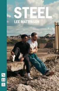 Book Cover for Steel by Lee Mattinson