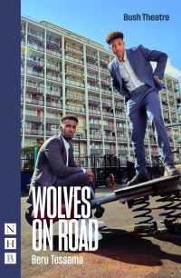Book Cover for Wolves on Road by Beru Tessema