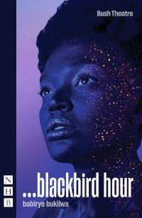 Book Cover for ...Blackbird Hour by babirye bukilwa