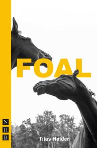 Book Cover for Foal by Titas Halder