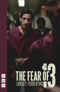 Book Cover for The Fear of 13 by Lindsey Ferrentino