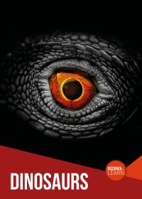 Book Cover for Dinosaurs by Joanna Brundle