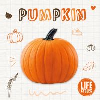 Book Cover for Pumpkin by Kirsty Holmes
