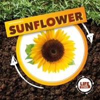 Book Cover for Life Cycle of a Sunflower by Kirsty Holmes