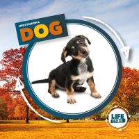 Book Cover for Life Cycle of a Dog by Kirsty Holmes