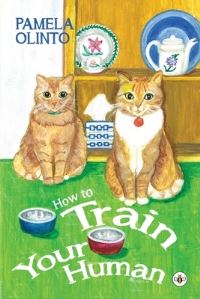 Book Cover for How to Train Your Human by Pamela Olinto