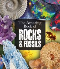 Book Cover for The Amazing Book of Rocks & Fossils by 