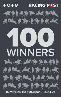 Book Cover for 100 Winners by Rodney Pettinga