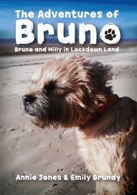Book Cover for The Adventures of Bruno by Hattie Annie Jones