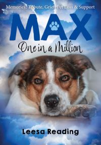 Book Cover for Max: One in a Million by Leesa Reading