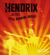 Book Cover for Hendrix by Hugh Fielder