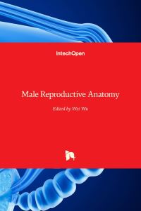 Book Cover for Male Reproductive Anatomy by Wei Wu