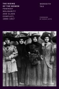 Book Cover for The Rising of the Women by Meredith Tax