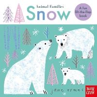 Book Cover for Snow by Jane Ormes