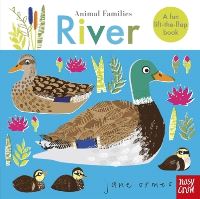 Book Cover for River by Jane Ormes