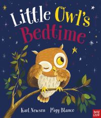 Book Cover for Little Owl's Bedtime by Karl Newson