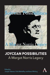 Book Cover for Joycean Possibilities by Margot Norris