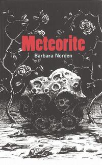 Book Cover for Meteorite by Barbara Norden