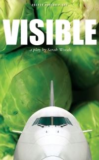 Book Cover for Visible by Sarah Woods