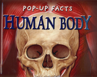 Book Cover for Human Body by Emily Hawkins, Sue Harris, Andy Mansfield, Kim Thompson, Ross Francis, Rachael PeryJohnston