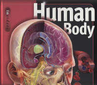 Book Cover for Human Body by Linda Calabresi
