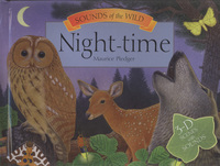 Book Cover for Night-Time by Maurice Pledger