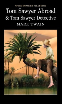 Book Cover for Tom Sawyer Abroad by Mark Twain