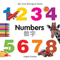 Book Cover for Numbers by 