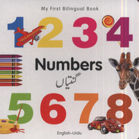 Book Cover for Numbers by 
