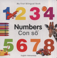 Book Cover for Numbers by 